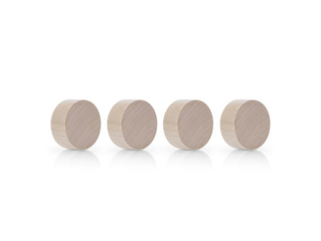 magnetoplan Aimant néodyme Circle Wood Series, bouleau