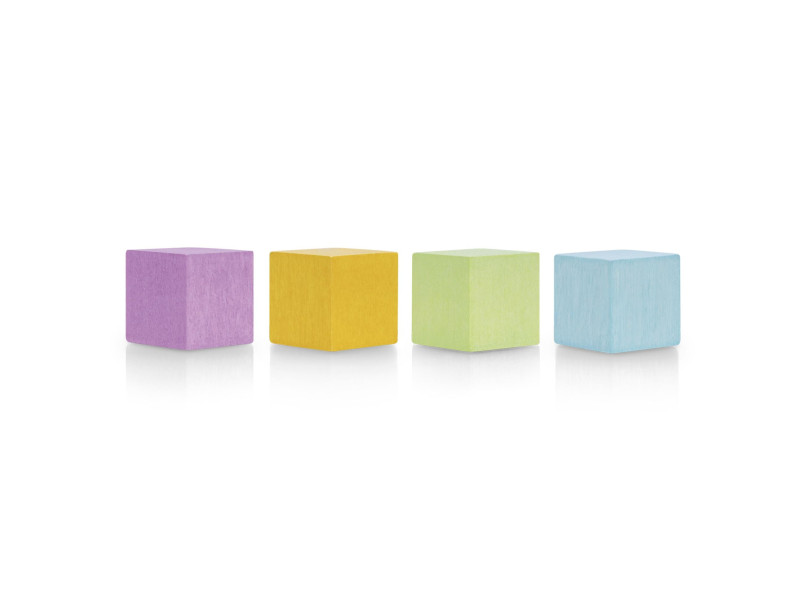 magnetoplan Aimant néodyme Wood Series Cube, coloré