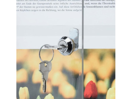 FRANKEN Vitrine d'affichage X-tra!Line, 2 x format A4