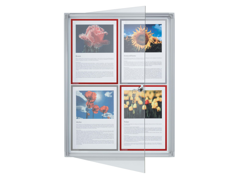 FRANKEN Vitrine d'affichage X-tra!Line, 4 x format A4