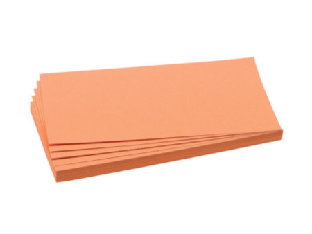 FRANKEN Carte de présentation rectangulaire, 205 x 95 mm
