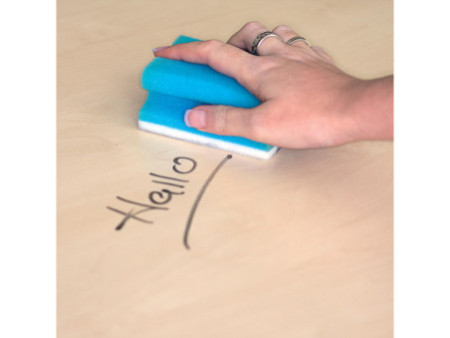 FRANKEN Eponge de nettoyage universelle X-Wipe!, bleu/blanc