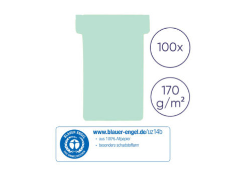FRANKEN Fiches T, taille 2 / 48 x 84 mm, vert clair
