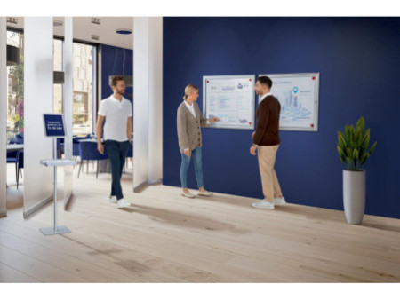 FRANKEN Vitrine d'affichage PRO pour 9x A4, dos en métal