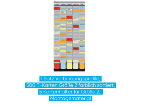 FRANKEN Tableau planning à fiches T, (L)315 x (H)780 mm
