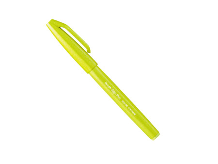 PentelArts Stylo feutre Brush Sign Pen SES 15, vert pastel