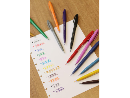 PentelArts Stylo feutre Brush Sign Pen SES 15, turquoise