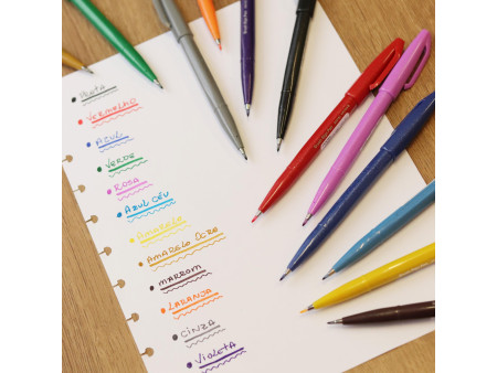 PentelArts Stylo feutre Brush Sign Pen SES 15, gris clair