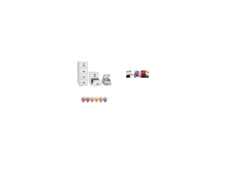 phoenix Armoire pour documents ignifuge Fire File FS2254E