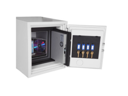 phoenix Coffre-fort pour données DATACARE DS2001F