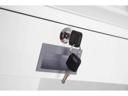 phoenix Coffre-fort pour données DATACOMBI DS2501F