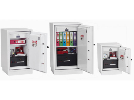 phoenix Coffre-fort pour données DATACOMBI DS2504F