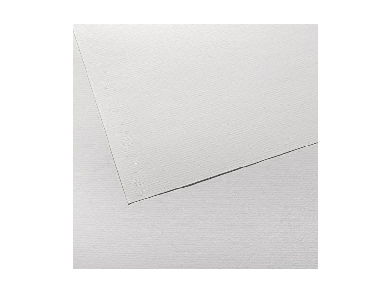 CANSON Papier à dessin Ingres Vidalon, 500 x 650 mm, blanc