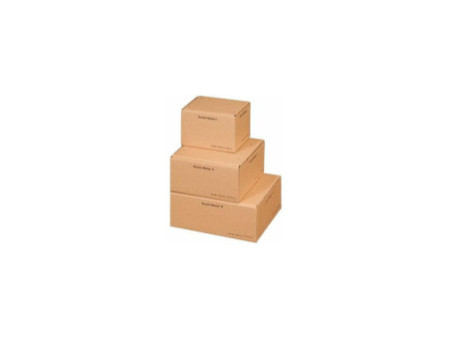 smartboxpro Carton d'expédition 'Smart Mailer', grand, brun