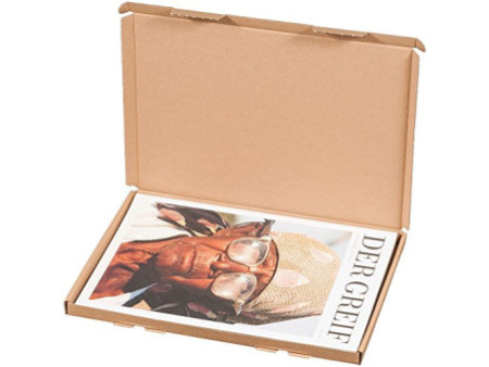smartboxpro Carton d'expédition pour catalogue, A4, marron