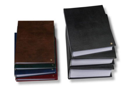 rillstab Protège-documents 'Original', A4, 50 pochettes