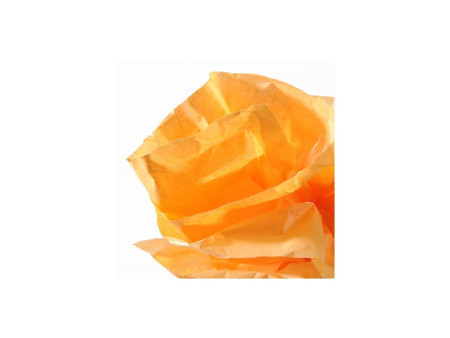 CANSON Papier de soie, 0,5 x 5,0 m, 20 g/m2, orange
