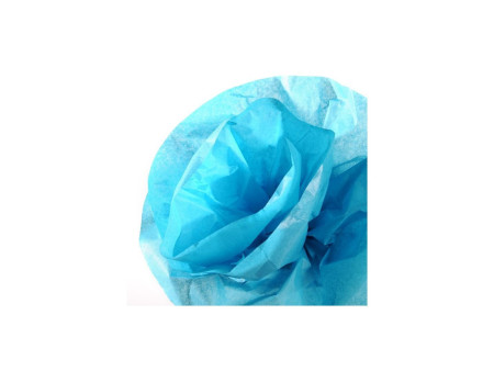 CANSON Papier de soie, 0,5 x 5,0 m, 20 g/m2, bleu turquoise