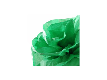 CANSON Papier de soie, 0,5 x 5,0 m, 20 g/m2, vert franc