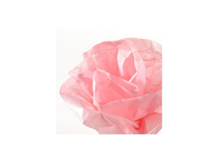 CANSON Papier de soie, 0,5 x 5,0 m, 20 g/m2, rose acidulé