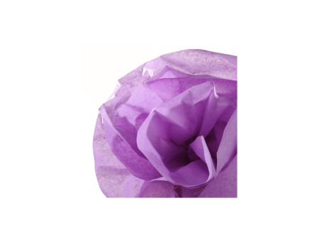 CANSON Papier de soie, 0,5 x 5,0 m, 20 g/m2, lilas