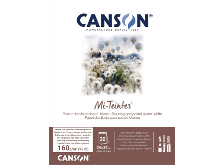 CANSON Papier beaux-arts Mi-Teintes, en bloc, 240 x 320 mm