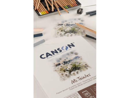 CANSON Papier beaux-arts Mi-Teintes, en bloc, 240 x 320 mm