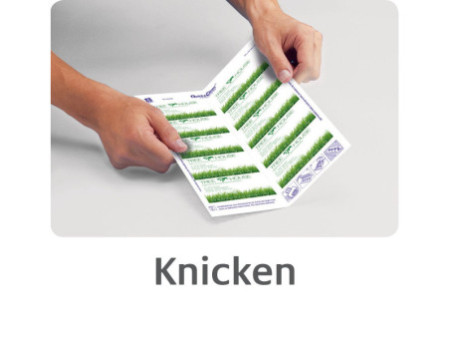 AVERY Zweckform Quick & Clean Cartes de visite, satinées