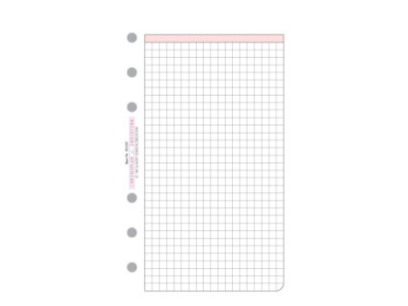 CHRONOPLAN Feuilles quadrillées, Midi, 25 feuilles, 80 g/m2