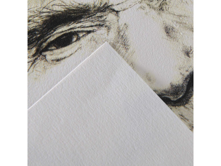 CANSON Papier croquis 'C' à grain, rouleau, 1,5 x 10 m
