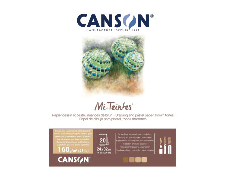 CANSON Papier beaux-arts Mi-Teintes, en bloc, 240 x 320 mm
