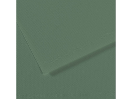 CANSON Papier dessin Mi-Teintes, 500 x 650 mm, sauge