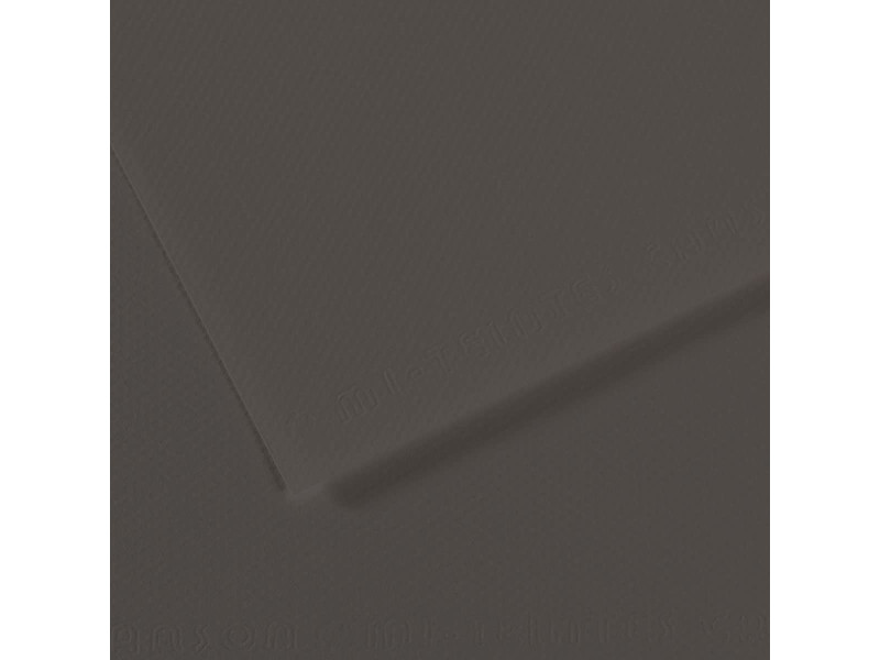 CANSON Papier dessin Mi-Teintes, 500 x 650 mm, anthracite