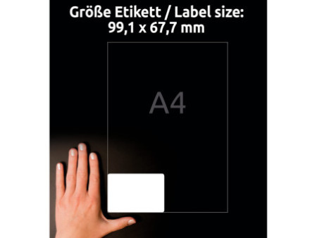AVERY Zweckform Etiquette congélation, 99,1 x 67,7 mm, blanc