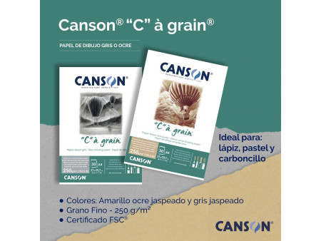 CANSON Bloc papier dessin 'C' à grain Couleur, gris chiné
