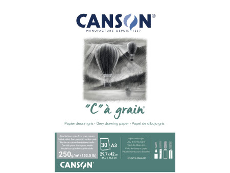 CANSON Bloc papier dessin 'C' à grain Couleur, gris chiné