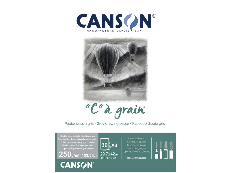 CANSON Bloc papier dessin 'C' à grain Couleur, gris chiné