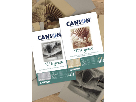 CANSON Bloc papier dessin 'C' à grain Couleur, gris chiné