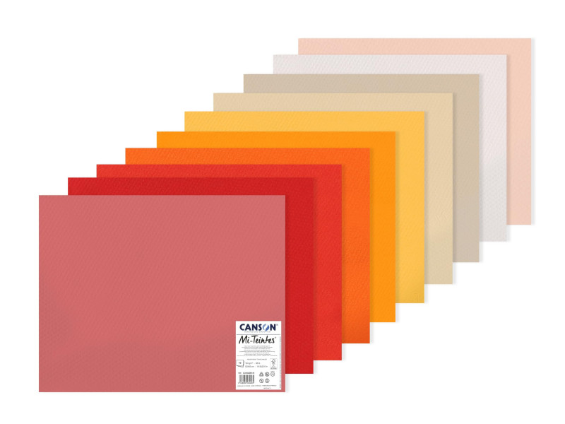 CANSON Papier dessin Mi-Teintes, 500 x 650 mm, assorti