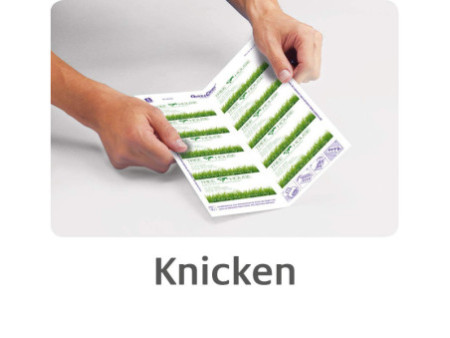 AVERY Zweckform Carte de visite Quick & Clean, blanc