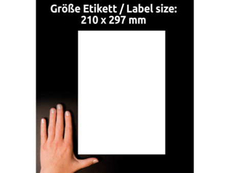 AVERY Zweckform Etiquette d'expédition transparente