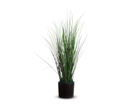 PAPERFLOW Plante artificielle 'Herbacée', hauteur : 550 mm