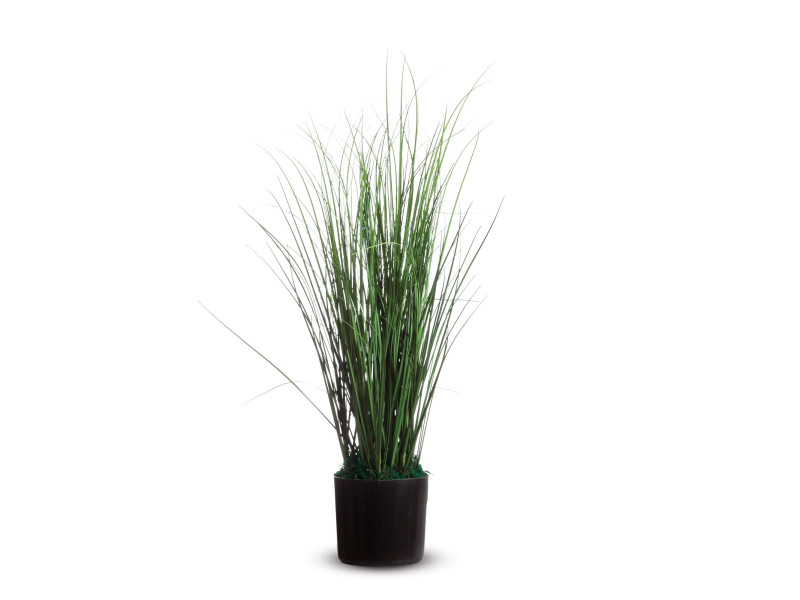 PAPERFLOW Plante artificielle 'Herbacée', hauteur : 550 mm