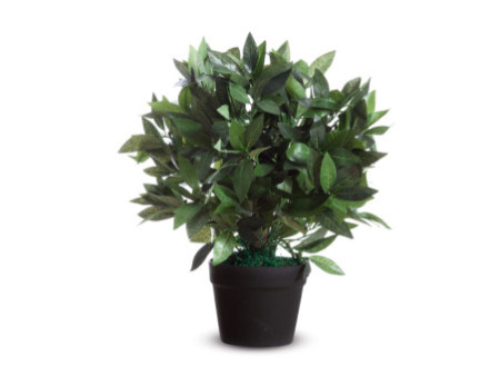 PAPERFLOW Plante artificielle 'Laurier', hauteur : 500 mm