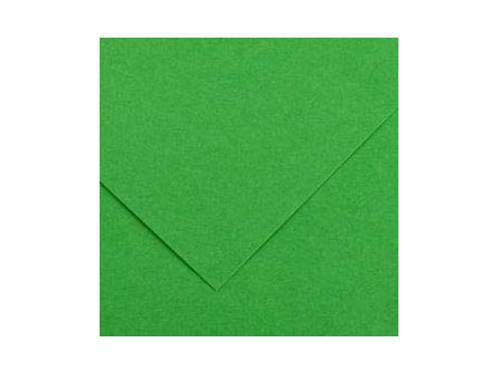 CANSON Papier Vivaldi, 500 x 650 mm, 240 g/m2, vert franc