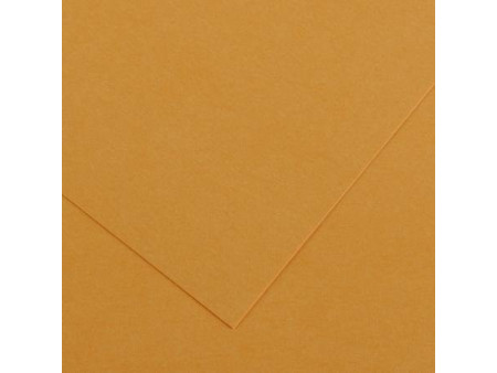 CANSON Papier Vivaldi, 500 x 650 mm, 240 g/m2, cuir