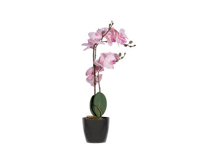 PAPERFLOW Plante artificielle 'orchidée', (H)400 mm, blanc