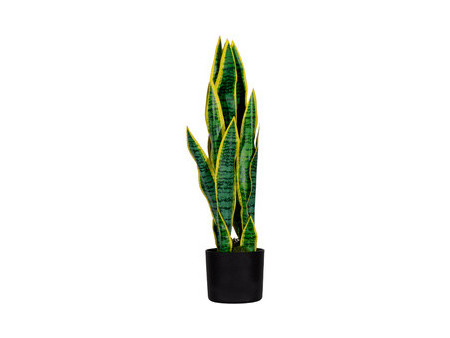 PAPERFLOW Plante artificielle 'sanseviera', hauteur: 650 mm