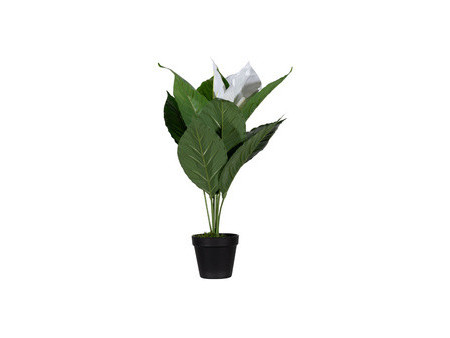 PAPERFLOW Plante artificielle 'fleur de lune', (H)550 mm