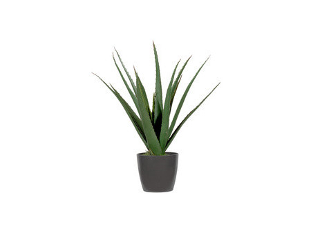 PAPERFLOW Plante artificielle 'aloe vera', hauteur: 450 mm